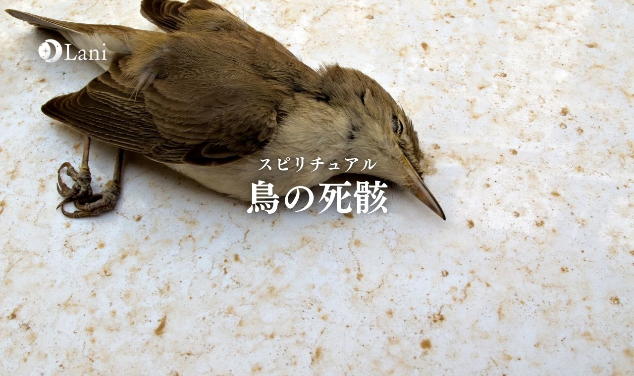 いつ医師の診察を受ける必要がありますか?