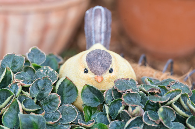 庭にある鳥の置物
