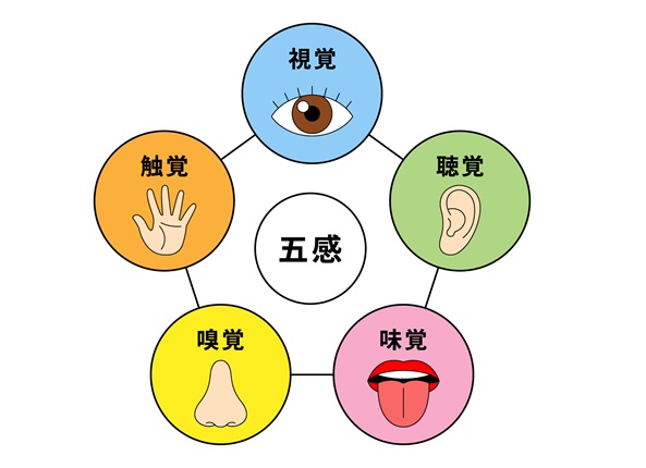 五感