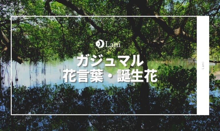 ガジュマルの花言葉・誕生花・育て方・種類