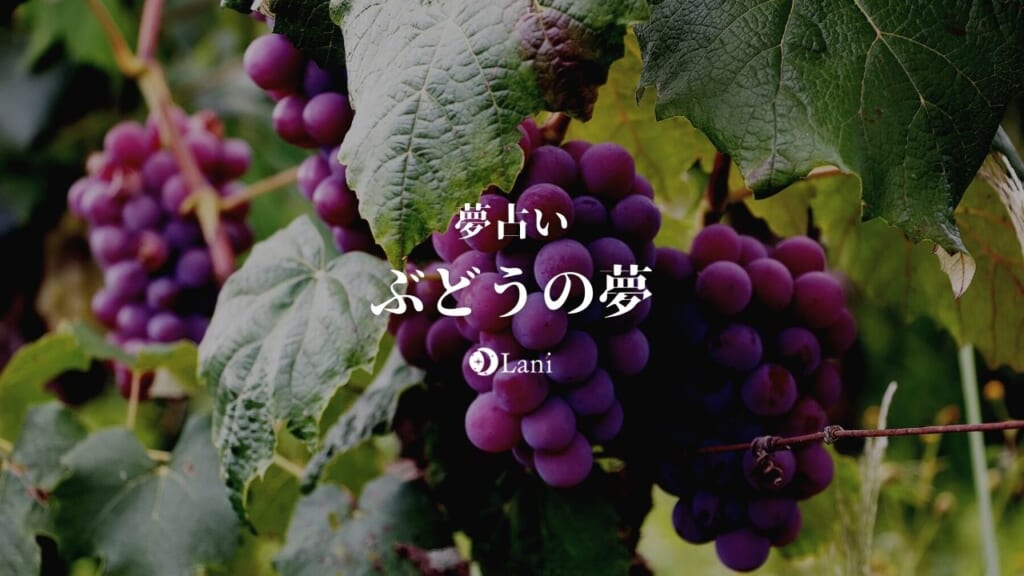 【夢占い】ぶどうの夢の意味30選!たくさん・見る・あげるなど