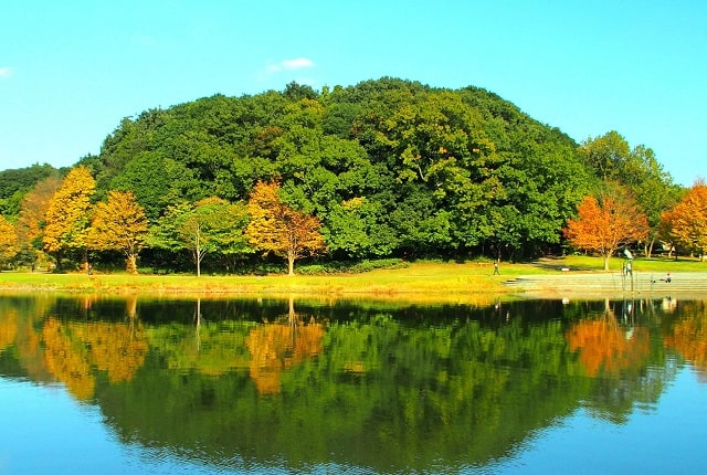 松戸　21世紀の森と広場
