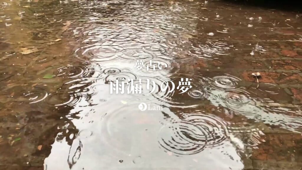 【夢占い】雨漏りの夢の意味25選!ストレスを感じている