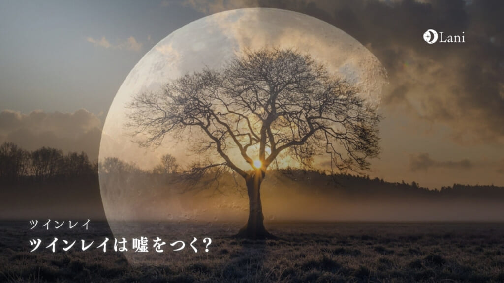 ツインレイは嘘をつく？ツインレイの嘘と上手に付き合うポイント