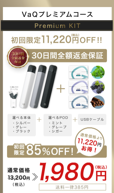 送料無料/新品】 VaQベイク電子タバコセット シガー kids-nurie.com