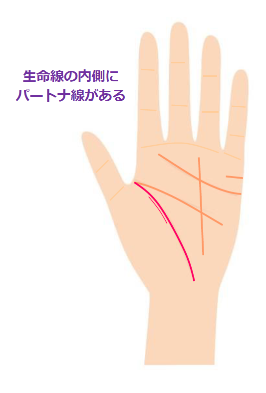 手相の生命線の意味と見方 短く薄い 枝分かれなど
