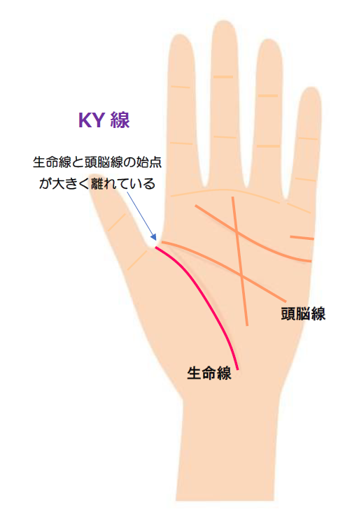 手相の生命線の意味と見方 短く薄い 枝分かれなど