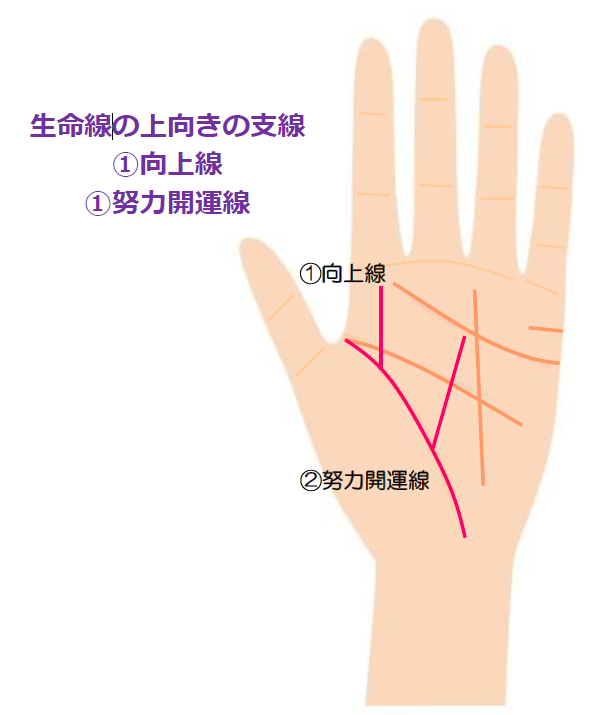 手相の生命線の意味と見方 短く薄い 枝分かれなど