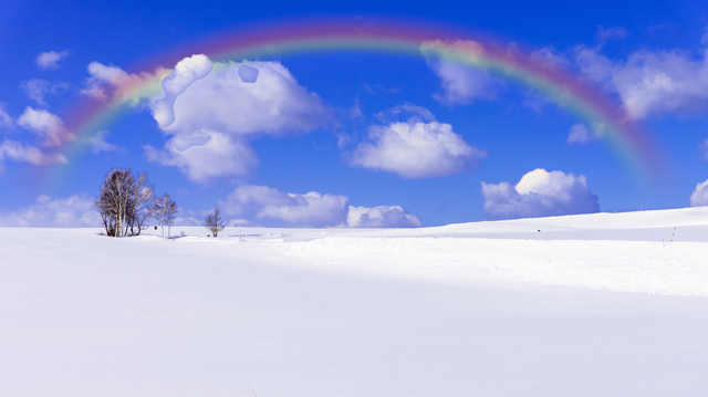 雪と虹