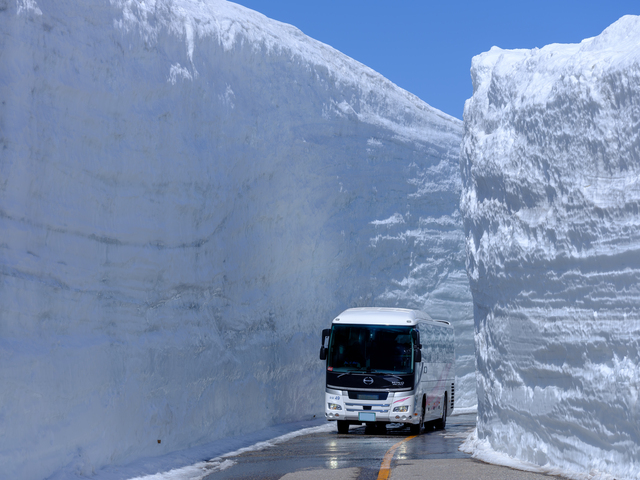 雪とバス