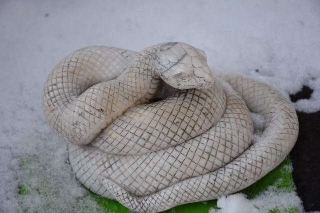 蛇と雪
