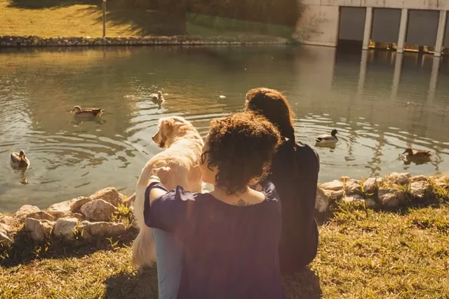 33 エンジェルナンバーの意味