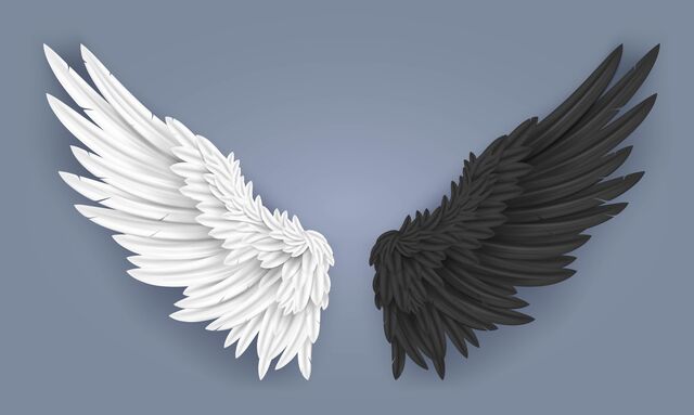 天使と悪魔の羽
