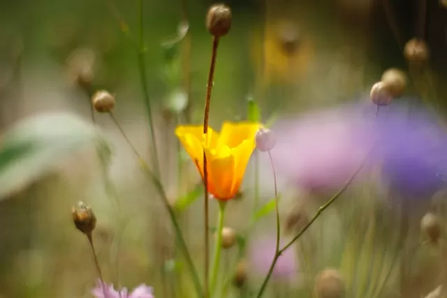 エンジェルナンバー8008の意味 前兆25選