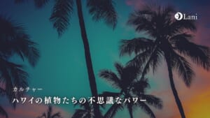 ハワイの植物たちの不思議なパワーを紹介！