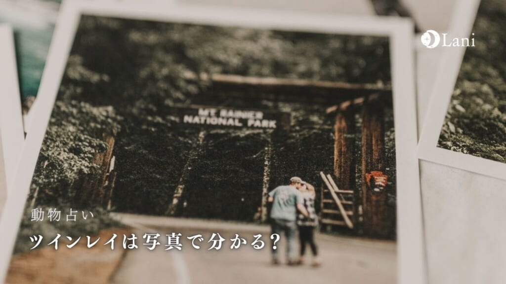 ツインレイは写真で分かる？写真で判断する方法