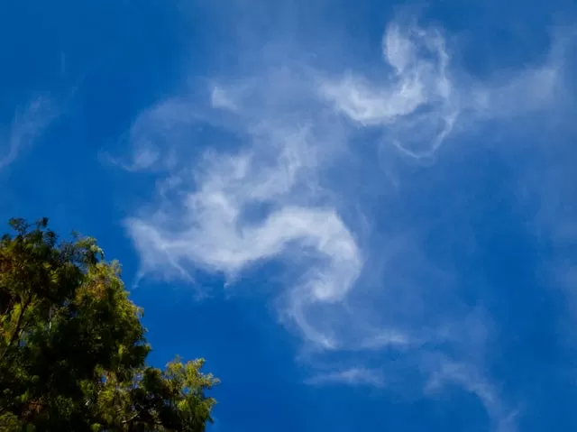 海の画廊「龍 雲 」