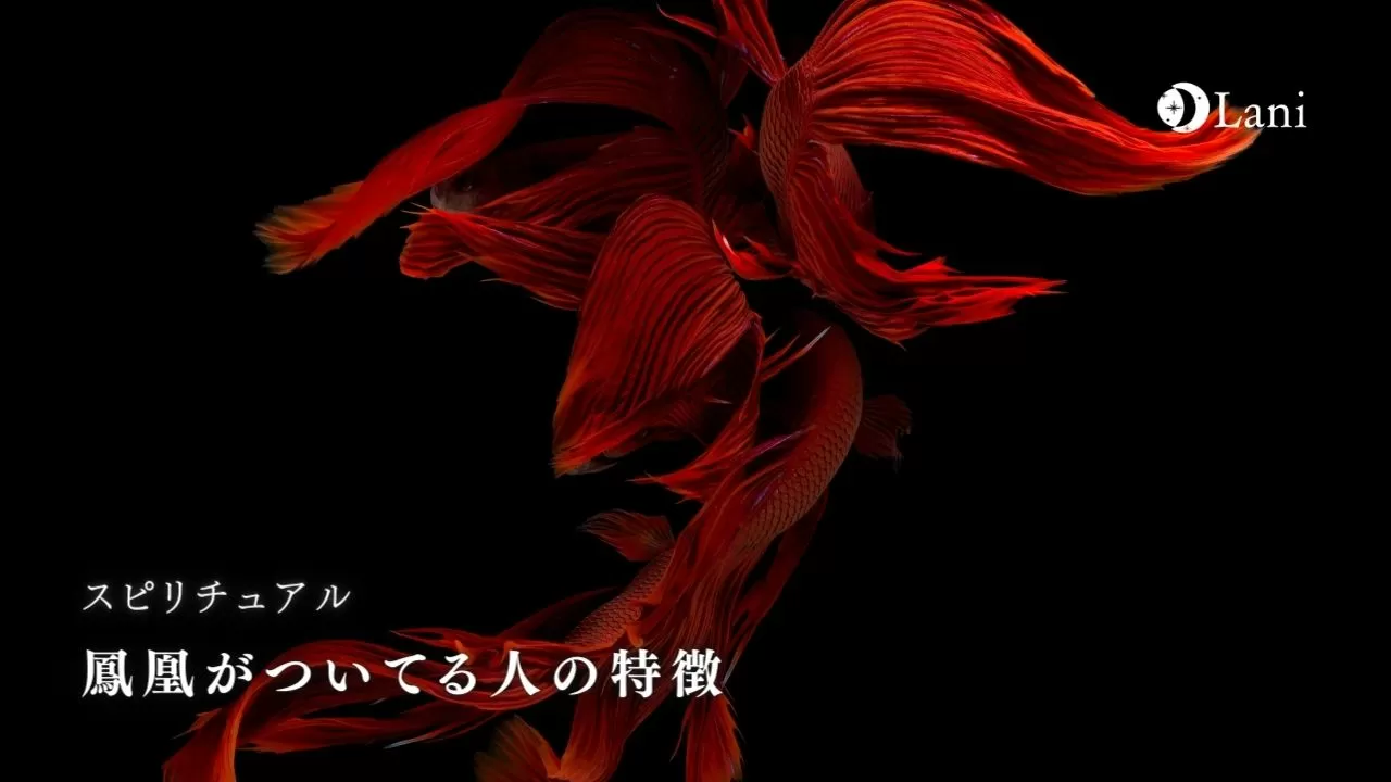鳳凰がついてる人の特徴 鳳凰の時代を解説 スピリチュアル