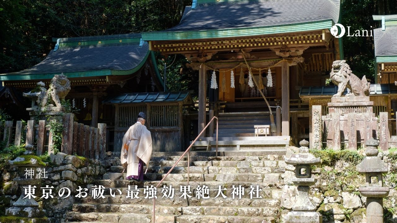 【2022年】東京のお祓い最強効果絶大神社！絶対に行くべき！