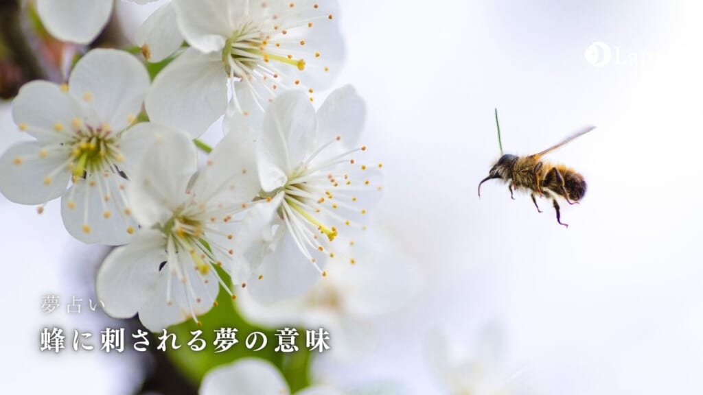 【夢占い警告】蜂に刺される夢の意味140選！対人運・金運の低下やトラブルの暗示で注意！