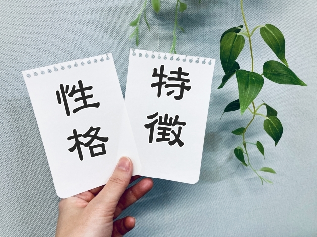 性格と特徴 性格・特徴