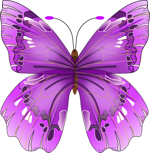 薄紫 の 蝶 スピリチュアル