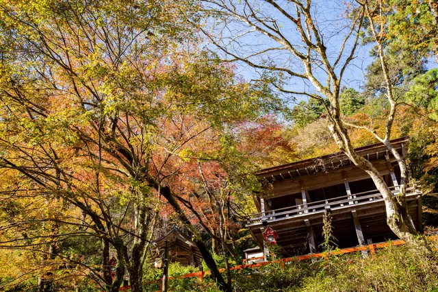 貴船神社の呪い 行かないほうがいい 怖い理由とは