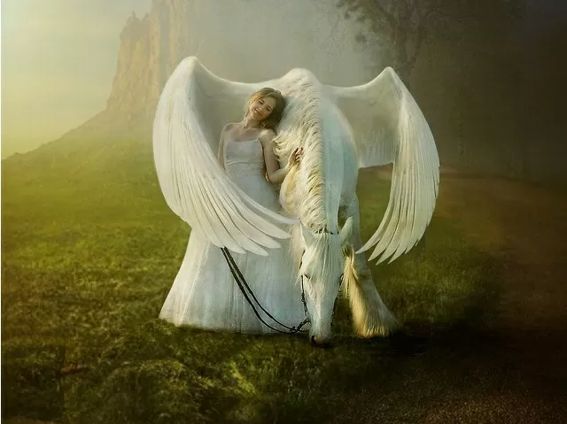 落ち着きのあるペガサスの性格 特徴 恋愛の傾向