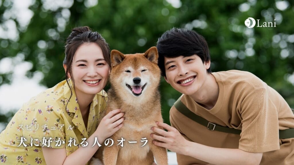 犬に好かれる人のオーラとは？スピリチュアルな特徴