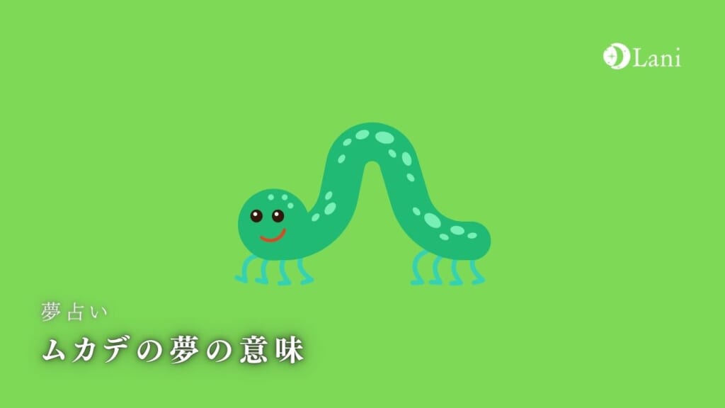 【夢占い】ムカデの夢の意味30選！成功・金運アップのチャンス！