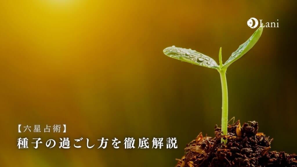 【六星占術】種子の過ごし方を徹底解説【12周期の1年目】