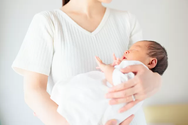 蜘蛛のスピリチュアル的な意味 家の中 巣 朝昼夜 大きい 小さい 霊的な意味やよく見る場合は
