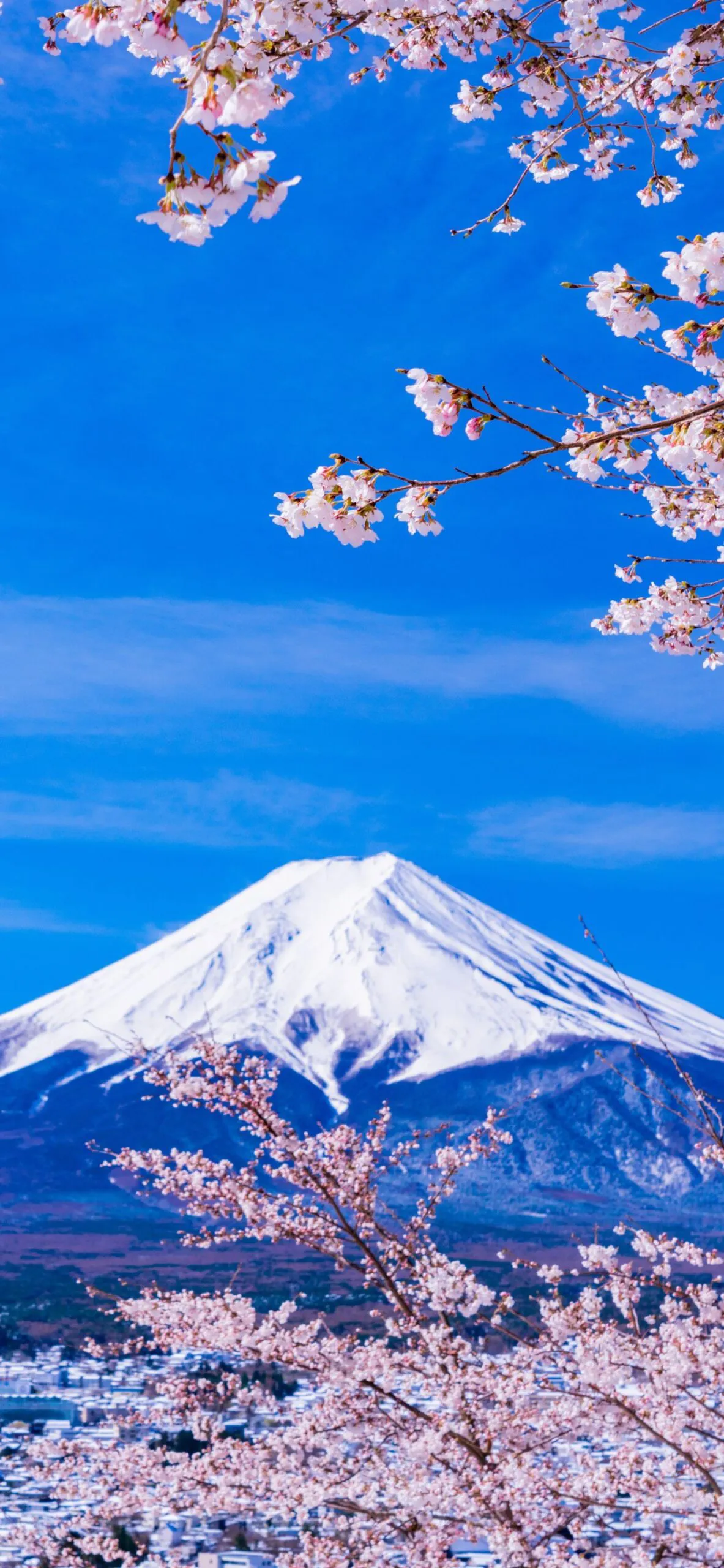 22年開運 富士山の待ち受け効果