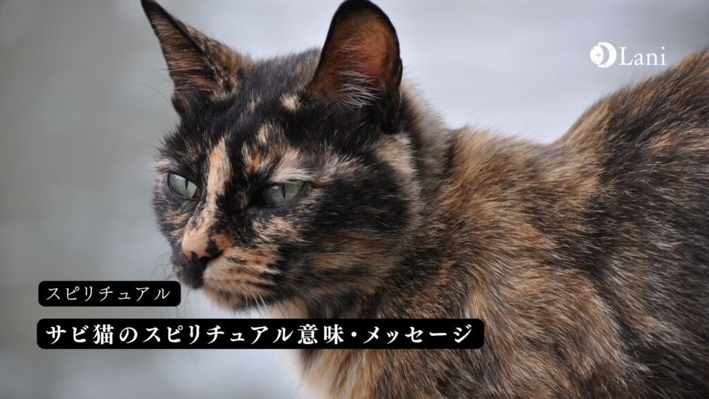 サビ猫のスピリチュアル意味・メッセージ