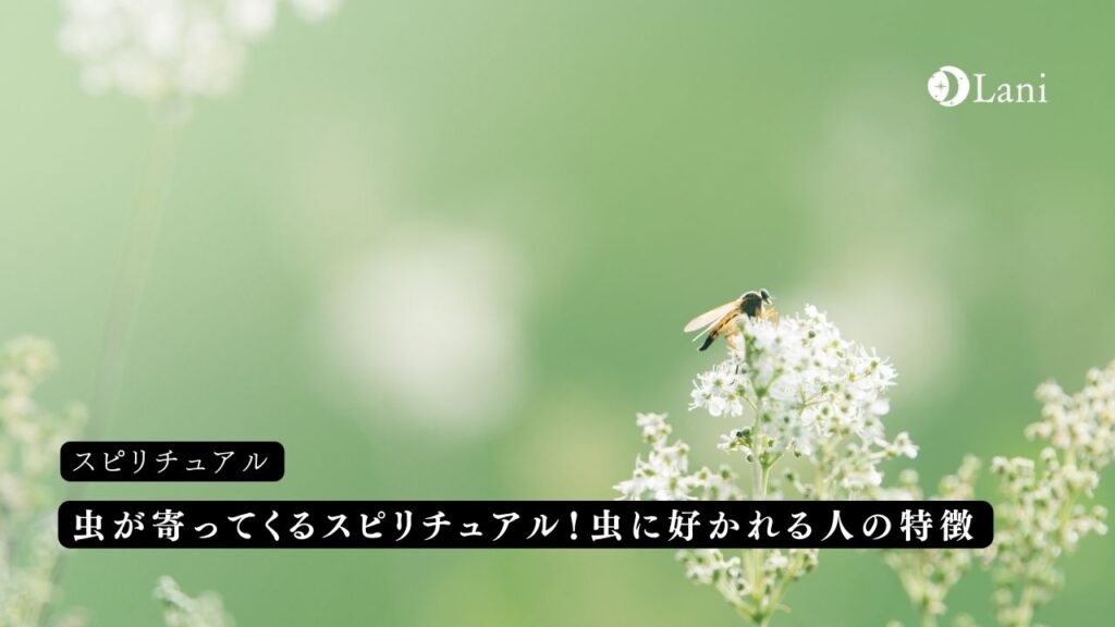 虫が寄ってくるスピリチュアル!虫に好かれる人の特徴