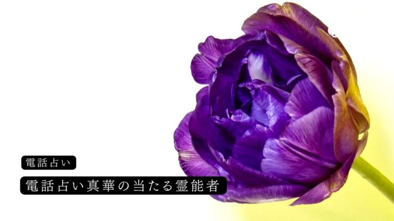 電話占い真華の当たる霊能者10選!口コミ・評判を比較