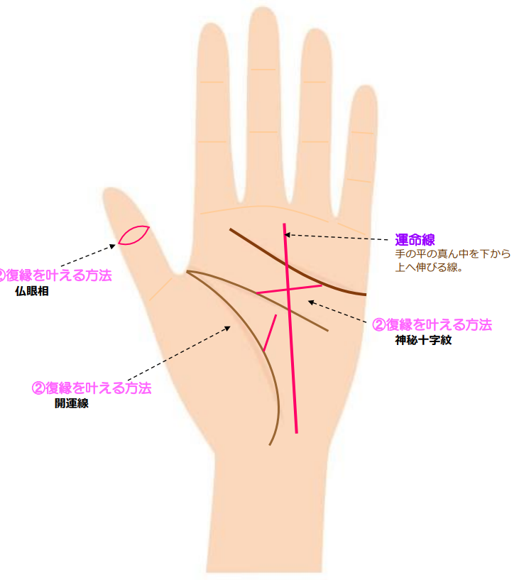 復縁手相 復縁できる手相 復縁の時期 タイミングの見方 元サヤ線など解説