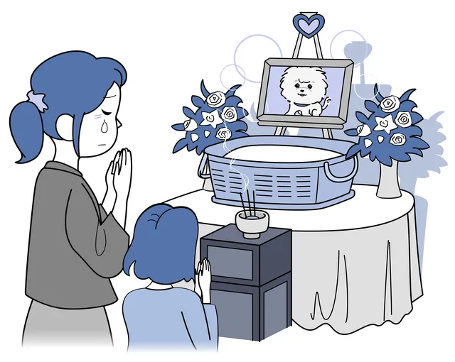 犬の生まれ変わりサイン10選 生まれ変わり実例 逢いたい人必見