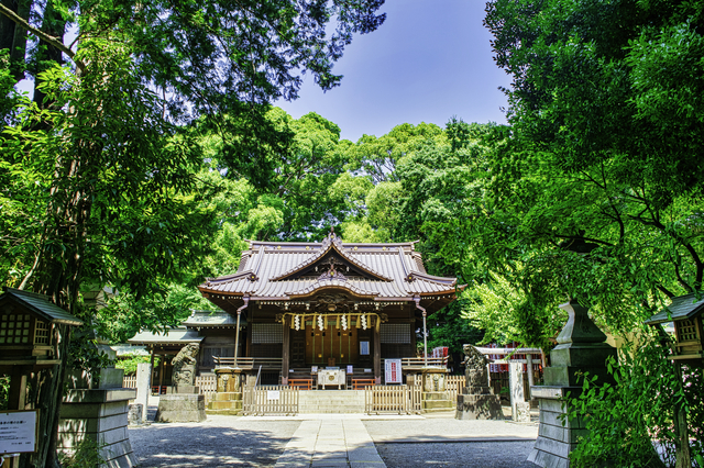 代々木八幡宮