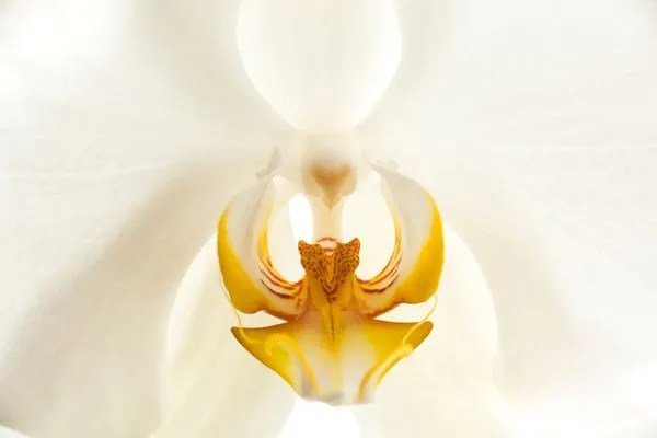 ツインレイに告白したら振られた ツインレイに告白したら振られた