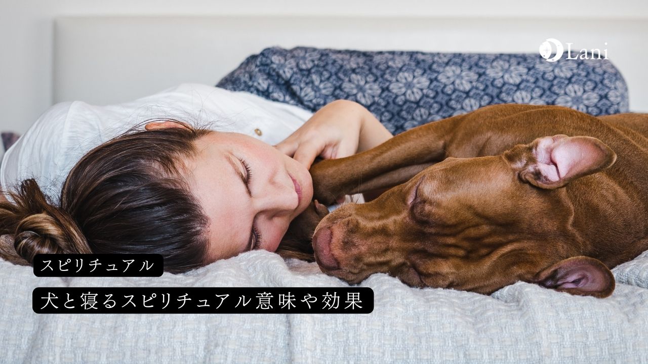 犬と寝るスピリチュアル意味や効果