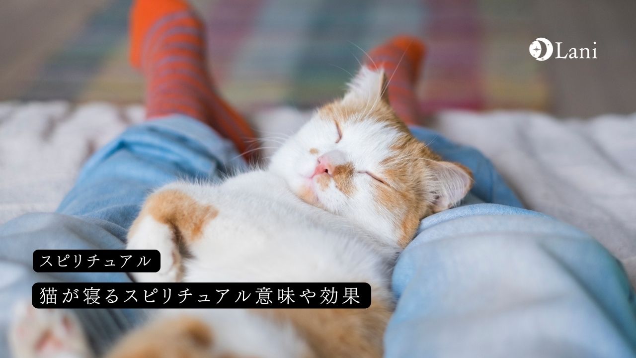 猫が一緒に寝るスピリチュアル意味や効果