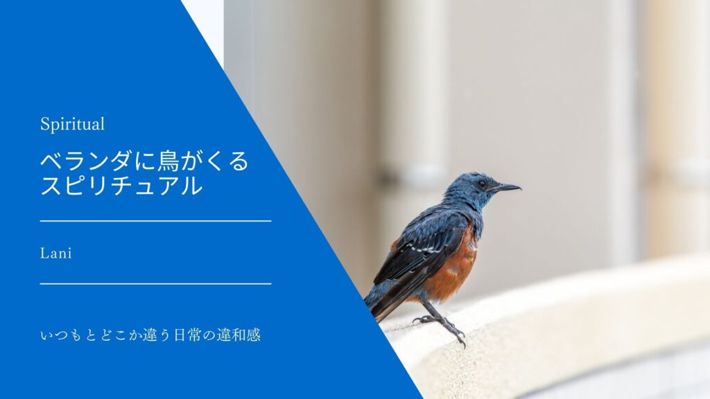 ベランダに鳥が来る理由！スピリチュアルな意味8つ