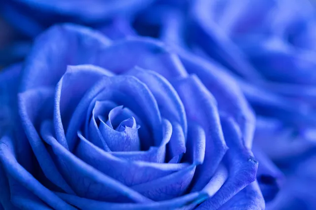 ラッキーな事がたくさん起こる待ち受け選