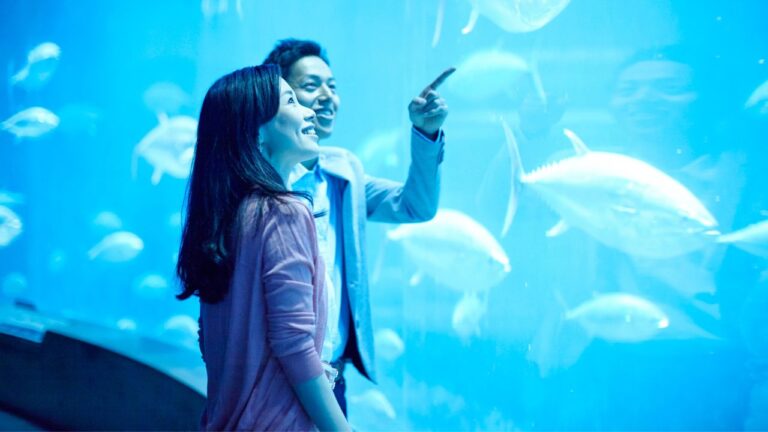 付き合う前の水族館デートは脈なし?