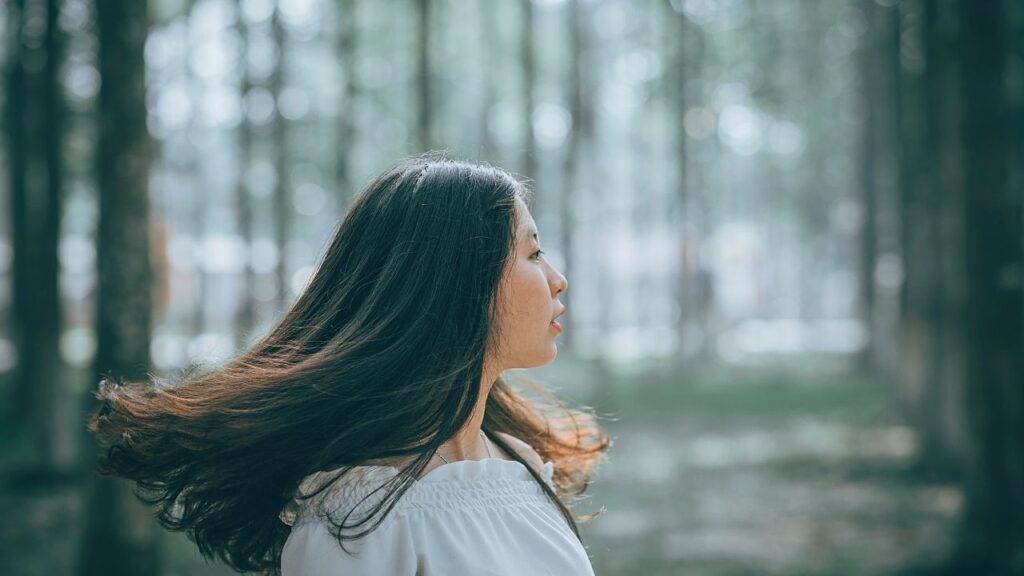木が好きな人のスピリチュアルな意味