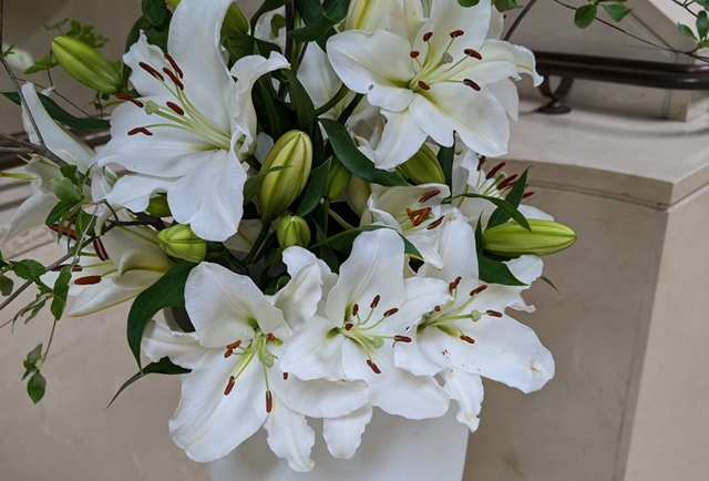 百合