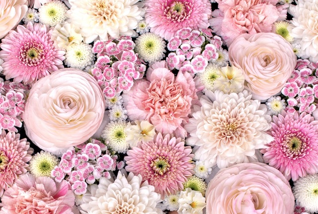 フラワー　花