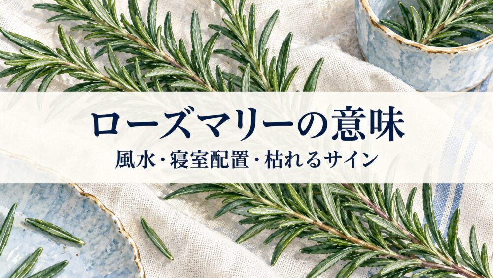 ローズマリーのスピリチュアル効果と風水！寝室の配置や枯れる意味