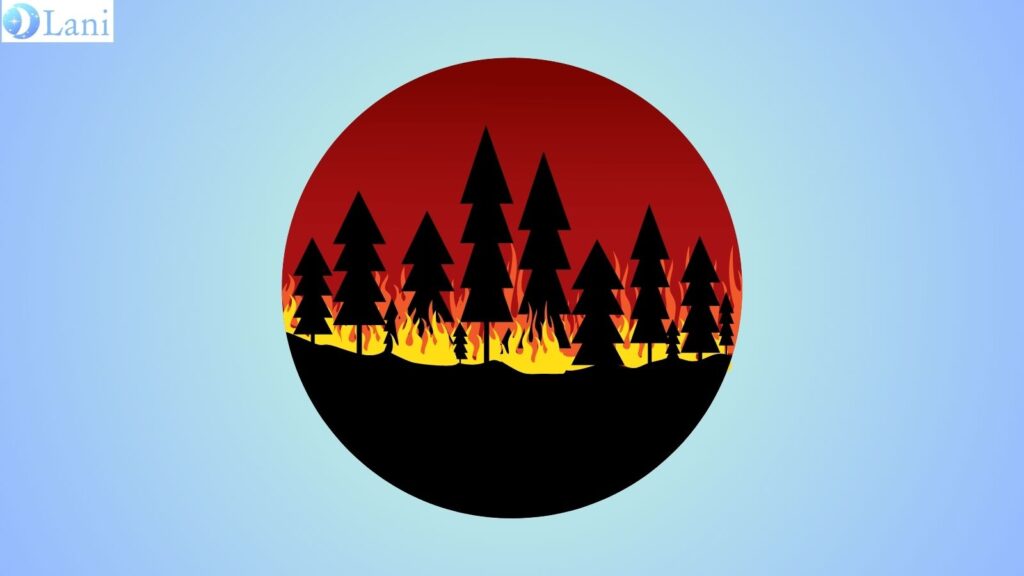 燃え盛る森林火災の絵